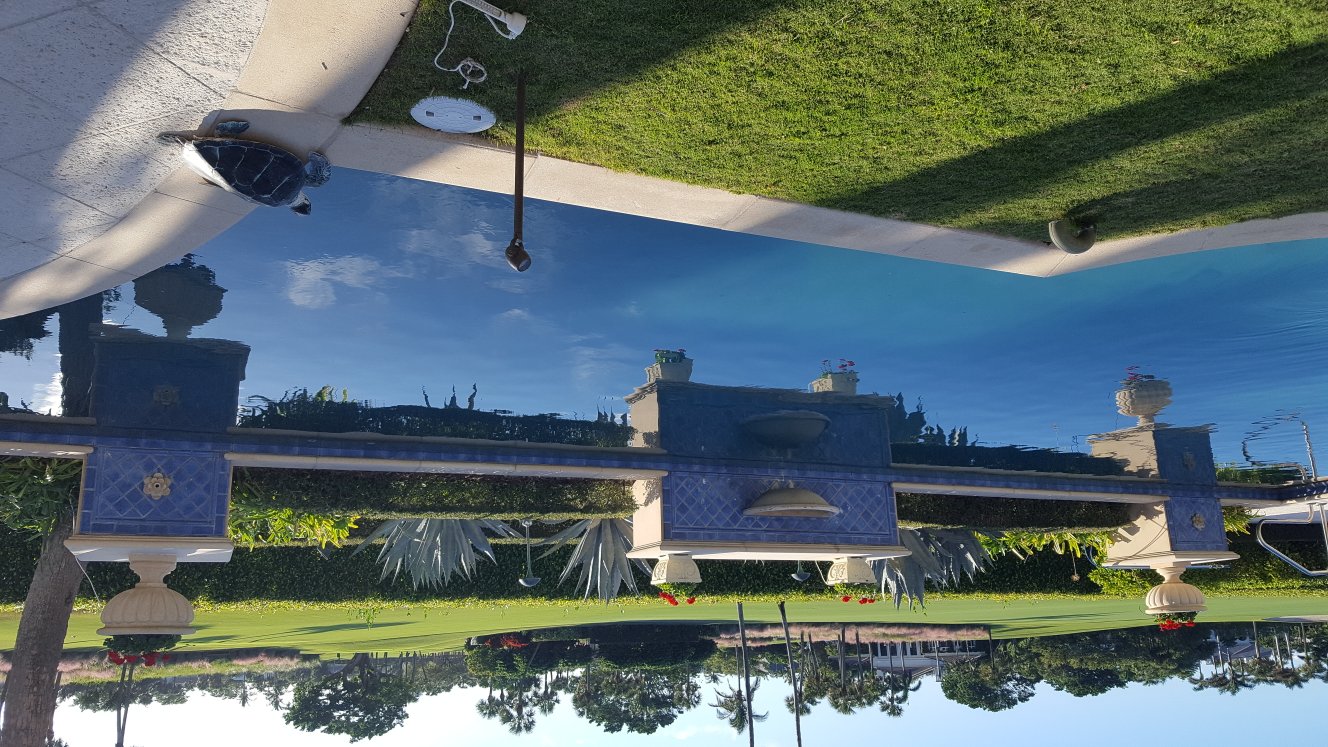 Artech Pools